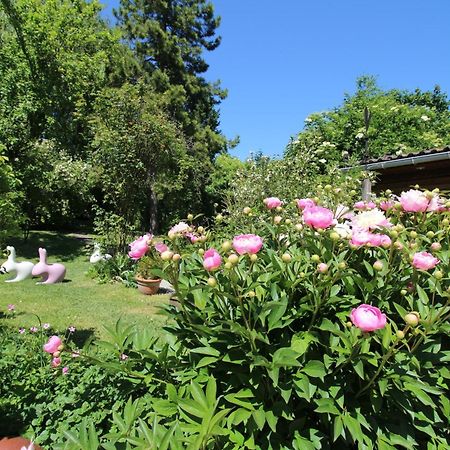 La Chaumiere Du Tordoir Bed & Breakfast Les Rues-des-Vignes Exterior photo