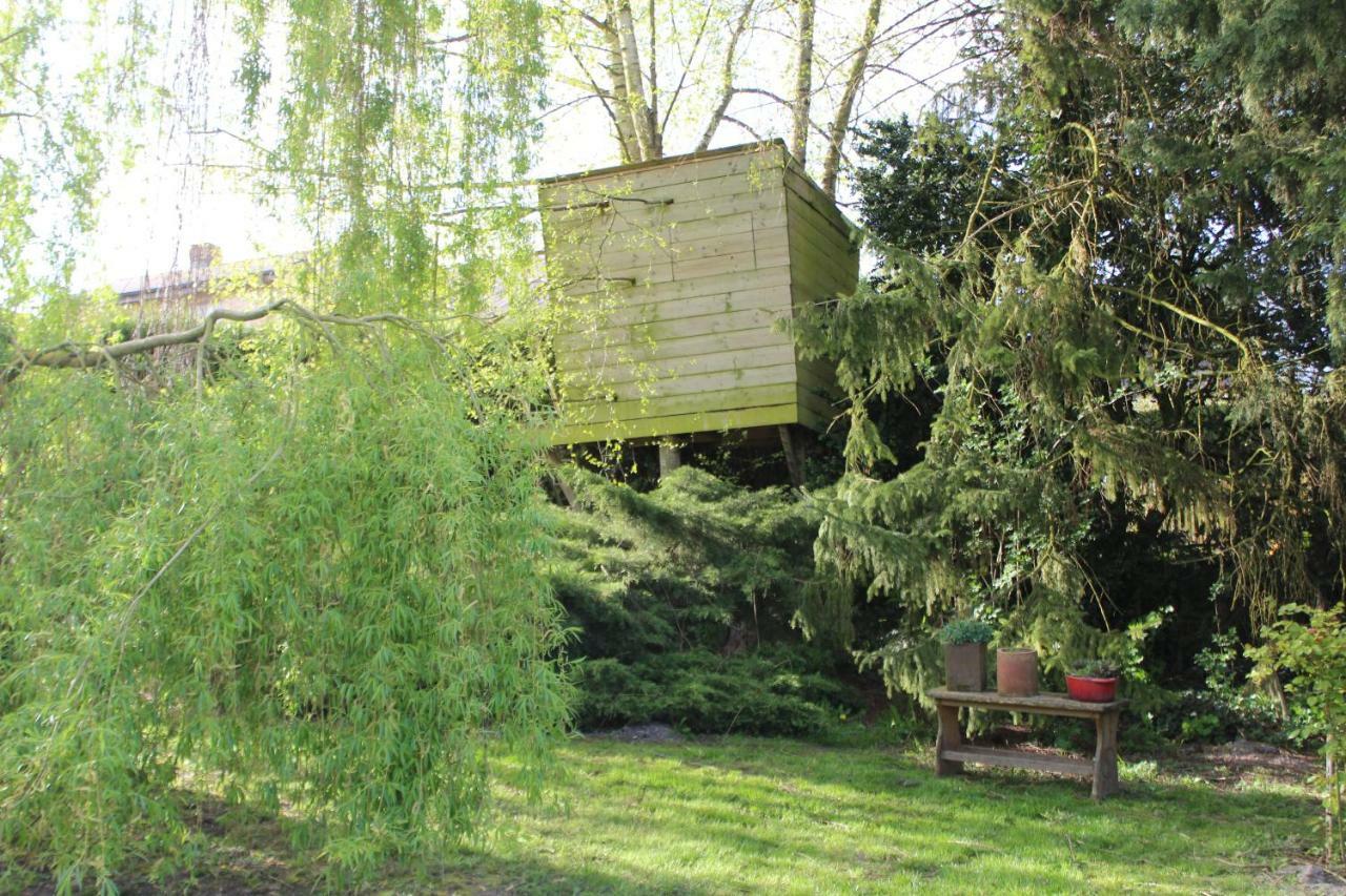La Chaumiere Du Tordoir Bed & Breakfast Les Rues-des-Vignes Exterior photo